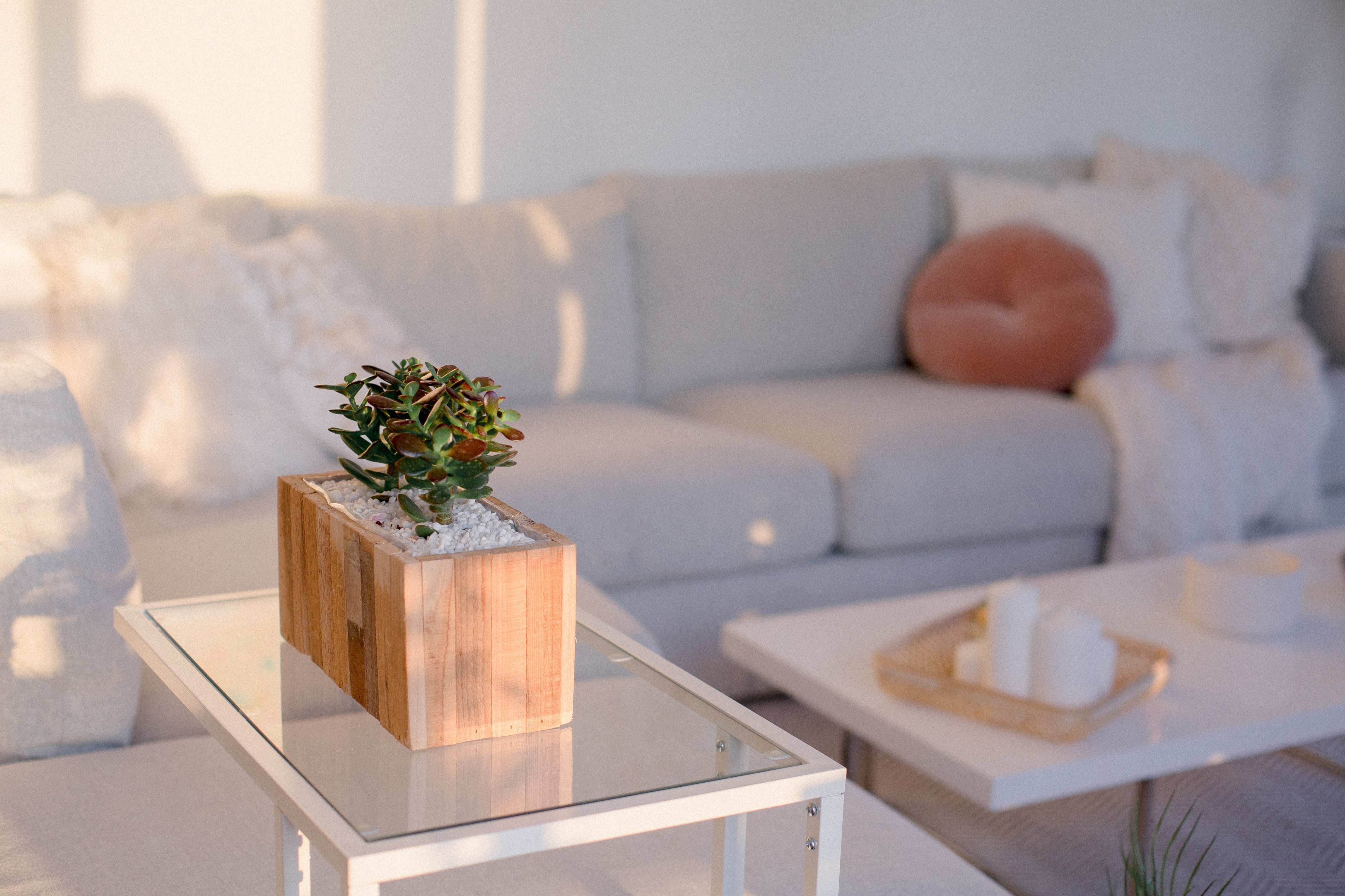 Home Collection