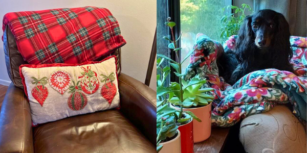 red plaid fleece blanket draped over a brown leather chair and a long-hair dachshund sitting in the window sill on a colorful fleece blanket