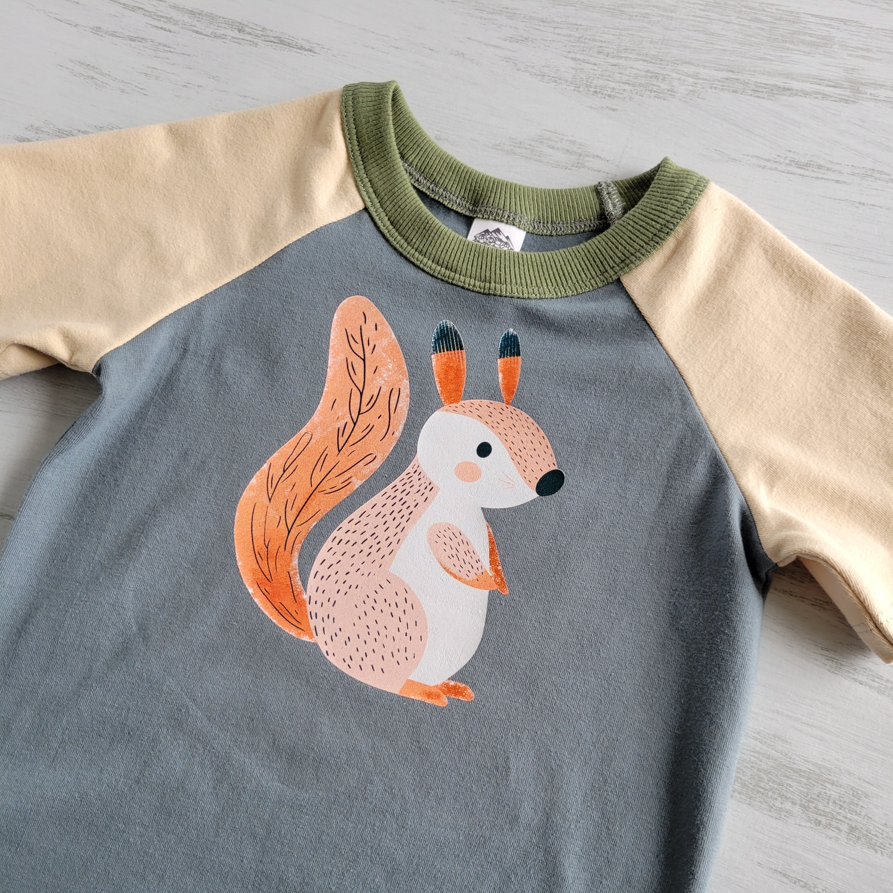 Blue - Kids Animals Tshirt - Organic American made Cotton