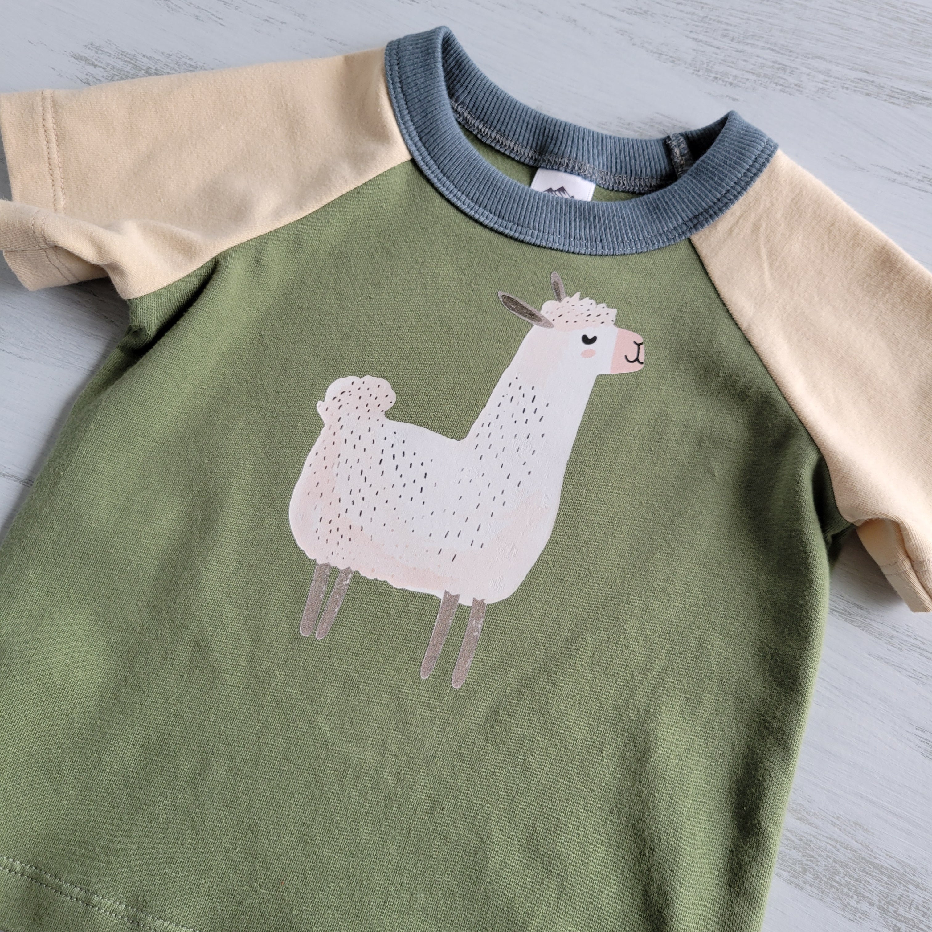 Green - Kids Animals Tshirt - Organic American made Cotton