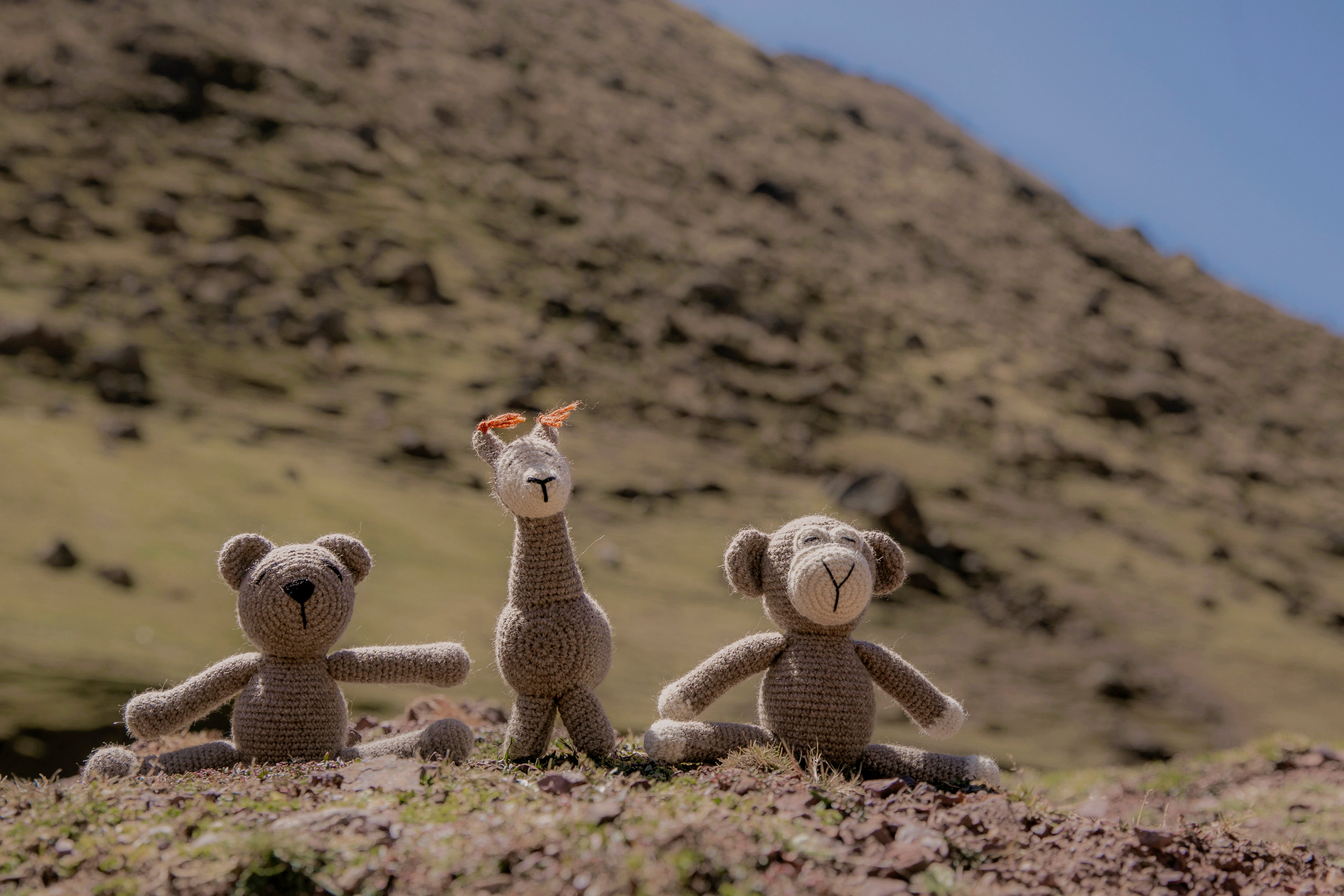 Sun Bear Knit Play Toy