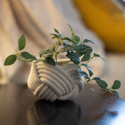 Mini Unbound Planter White