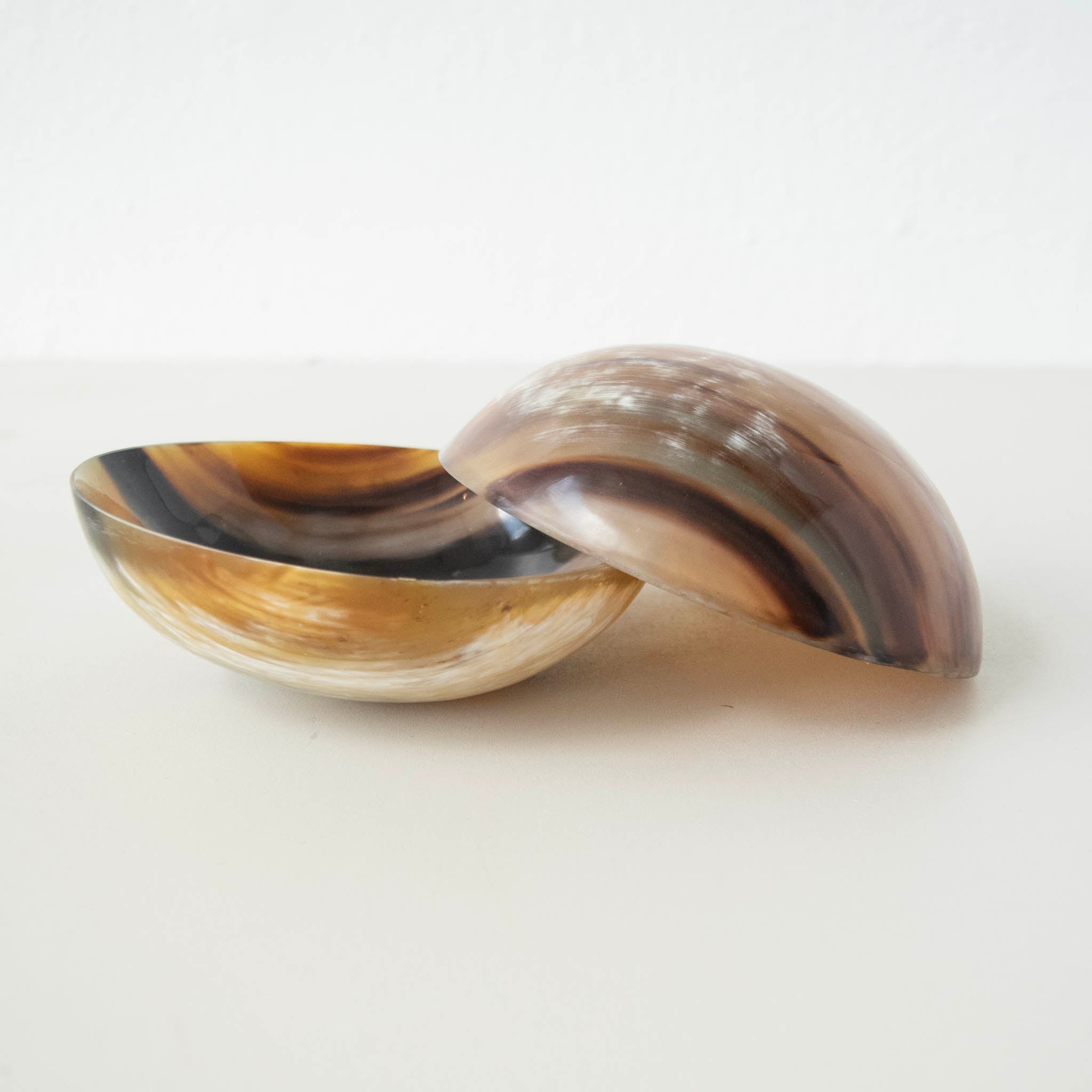 Cow Horn Bowl