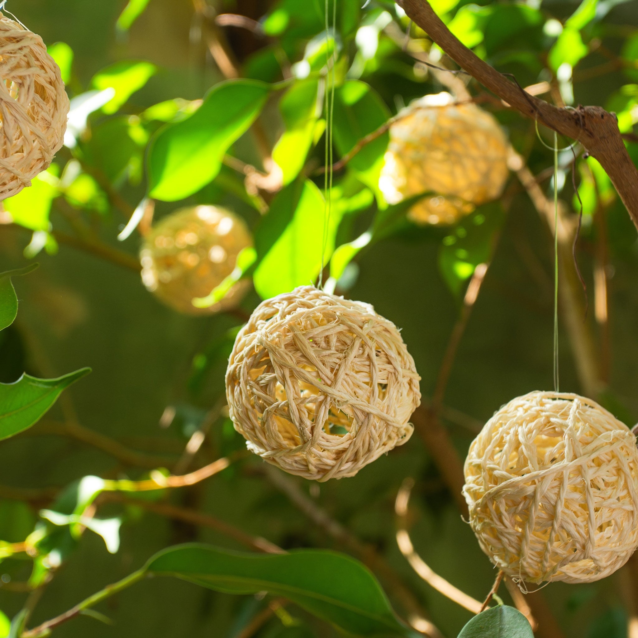 Sisal Ball Ornament Set