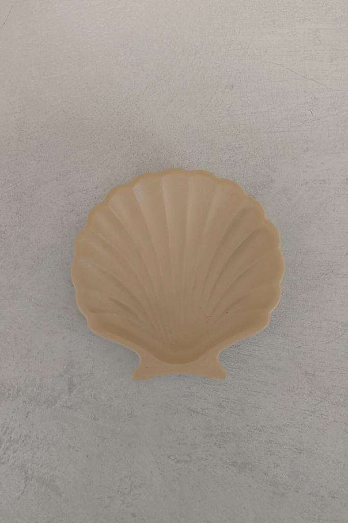Stucco Shell Trinket Tray