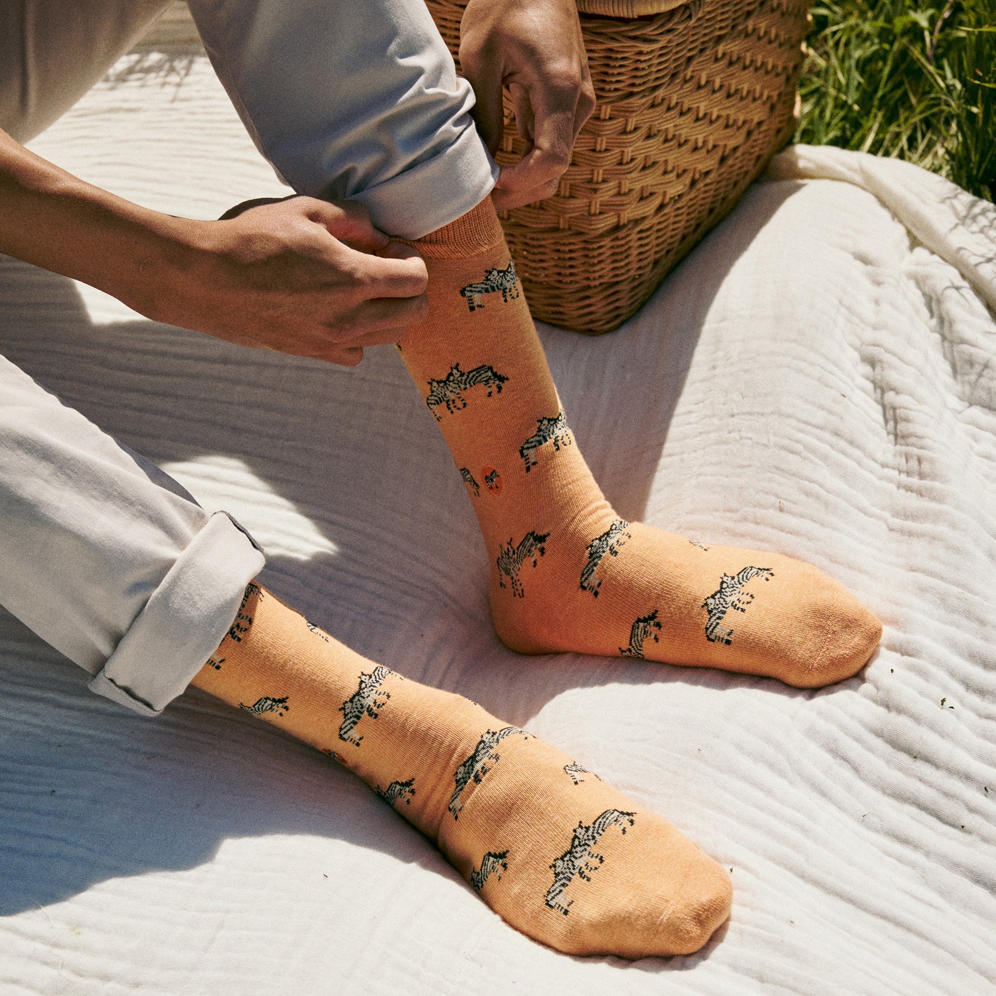 Socks that Protect Zebras