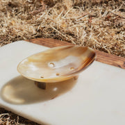 Cow Horn Soap Dish