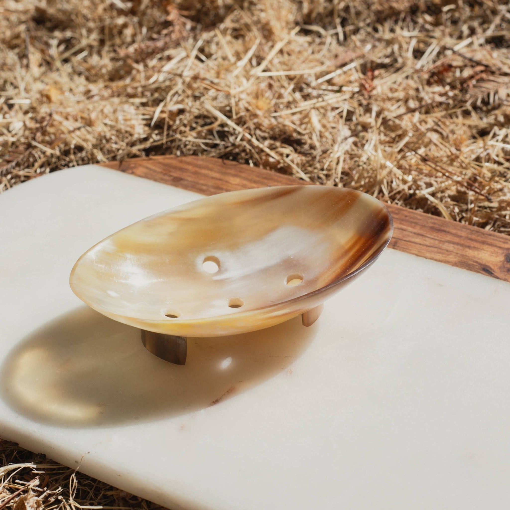 Cow Horn Soap Dish